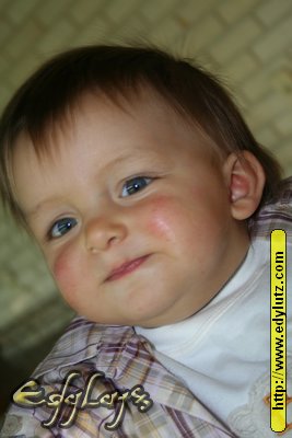 IMG 222.jpg