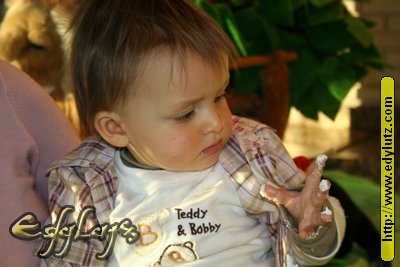 IMG 291.jpg