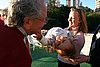 IMG 246.jpg